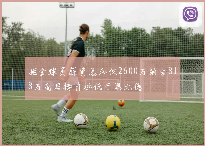 掘金球员薪资总和仅2600万纳吉818万高居榜首远低于恩比德
